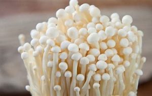 Enoki Mushrooms